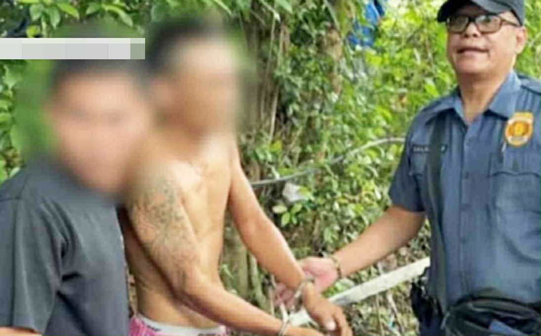 Photo courtesy: PS4 Carmen