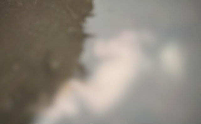 Photo courtesy: PS8/GSCPO