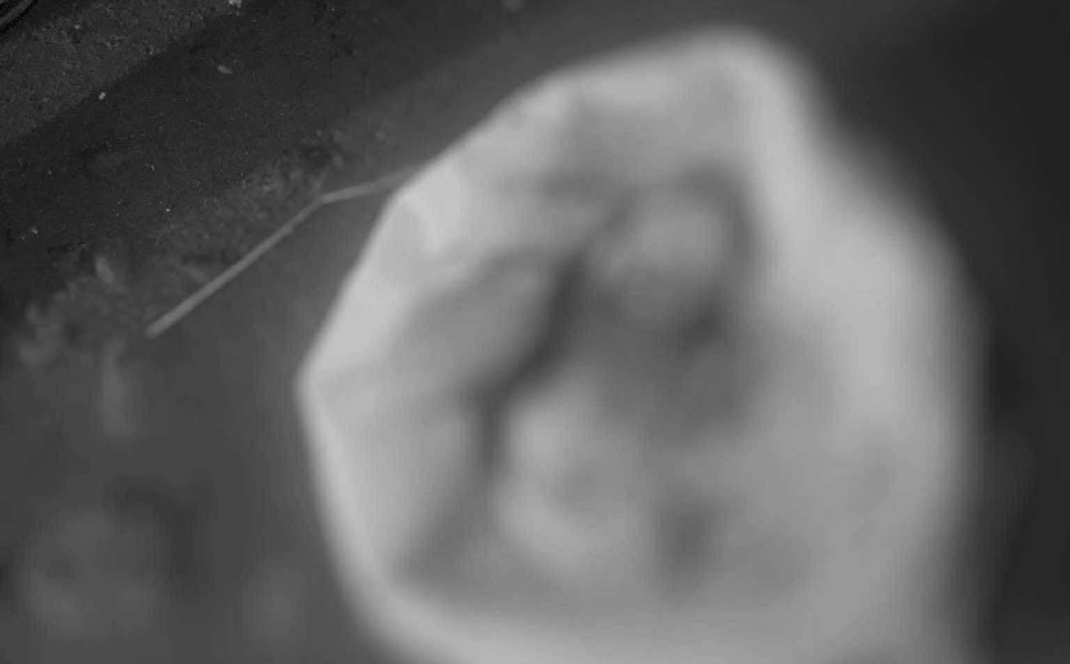 Photo courtesy: Barangay San Isidro LGU