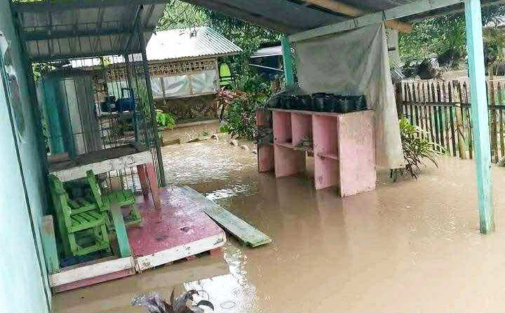 Photo courtesy: Freddie Pareñas Collado