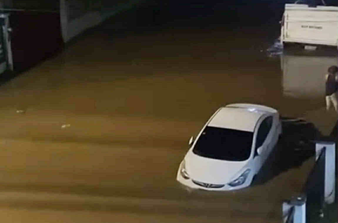 Image from video via Meraflor Etil