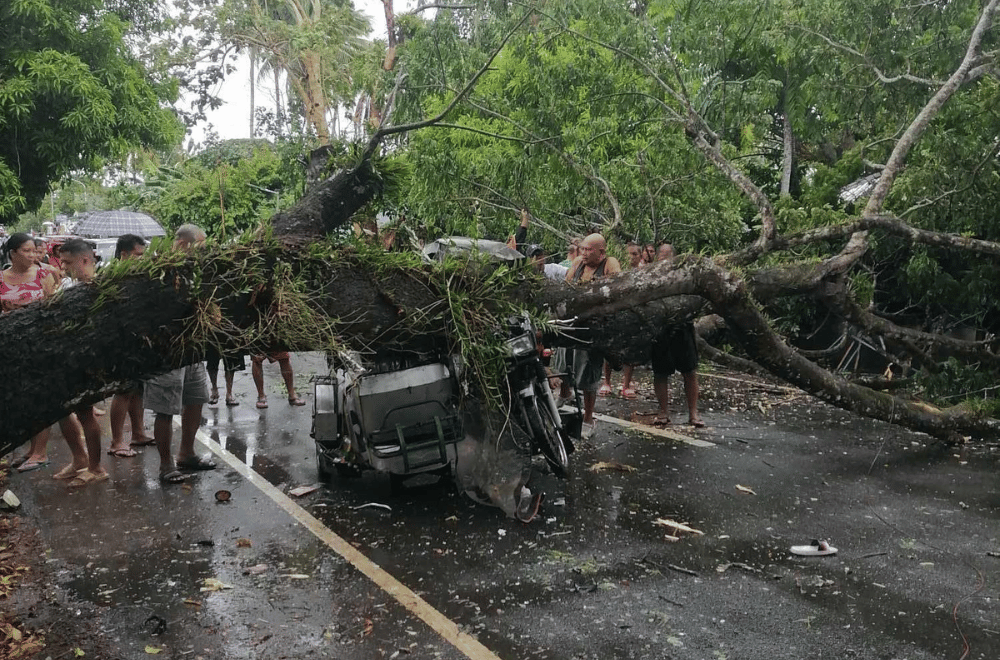 Photo Courtesy: Tine Azuelo