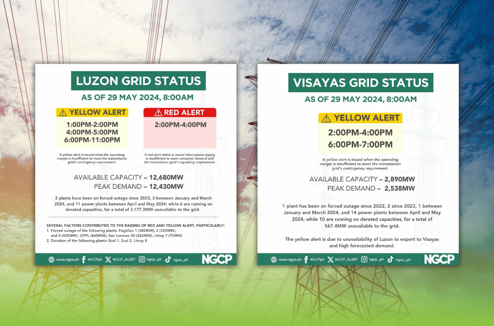 Photo Courtesy: National Grid Corporation of the Philippines