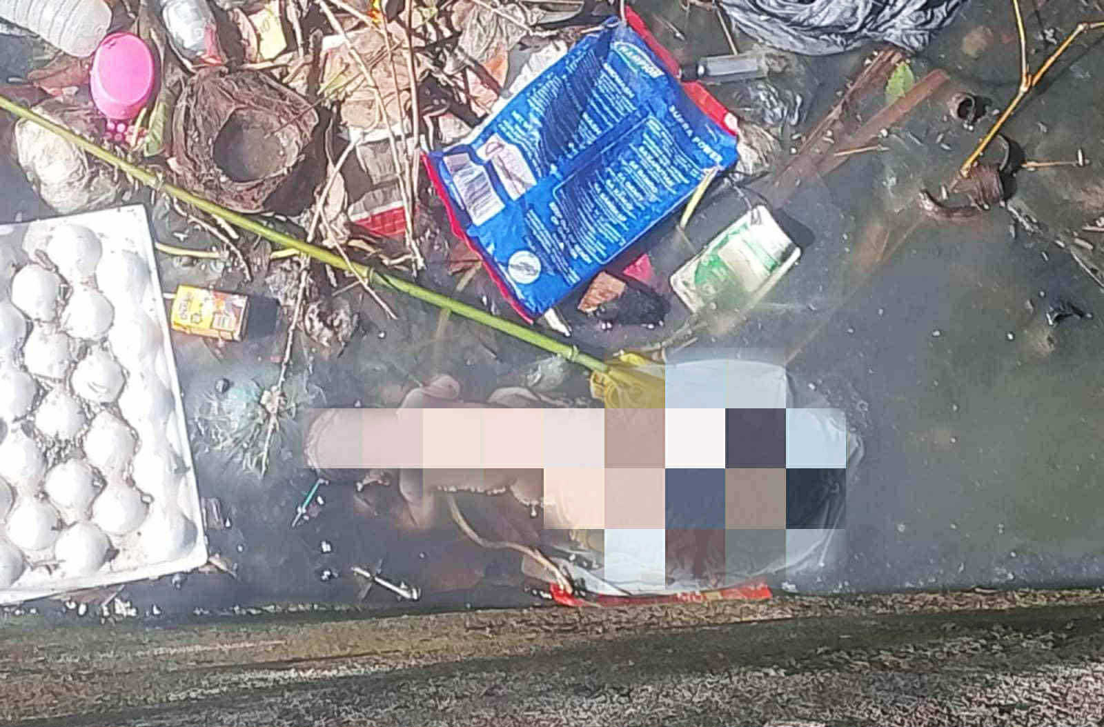 Photo courtesy: COCPO