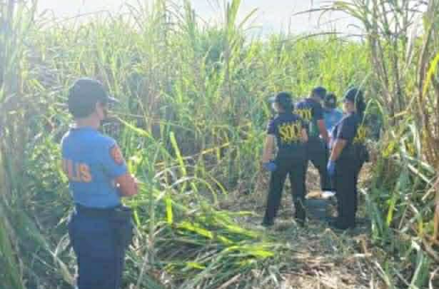 Photo courtesy: PRO-10