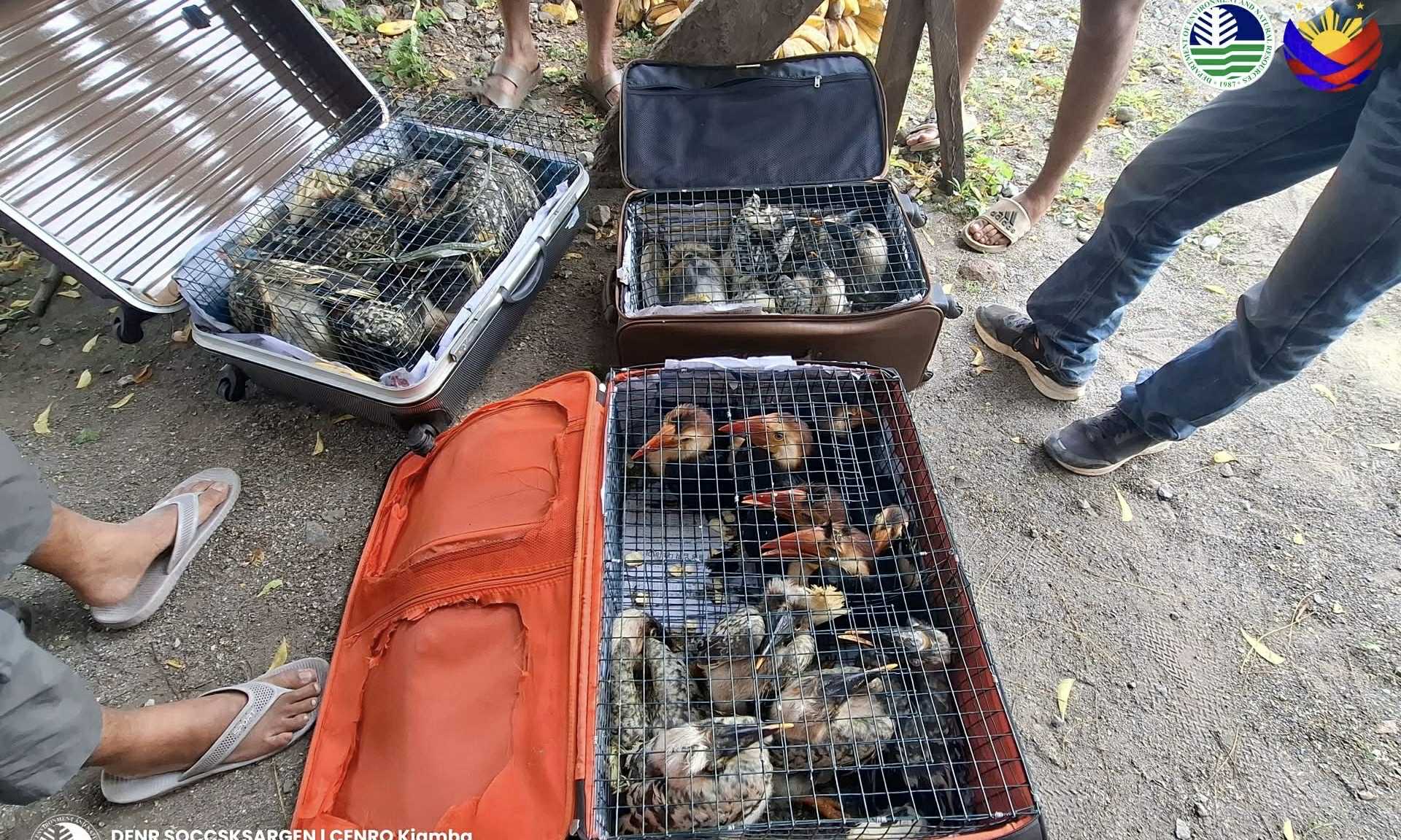 Photo courtesy: CENRO-Kiamba/DENR-12