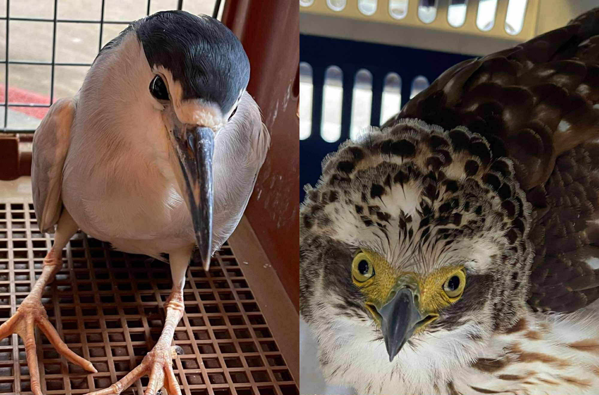 Photo courtesy: DENR-12