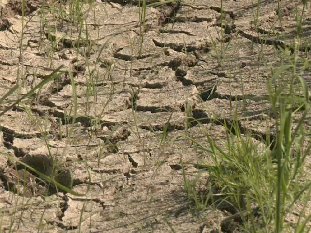 Photo via One North Central Luzon