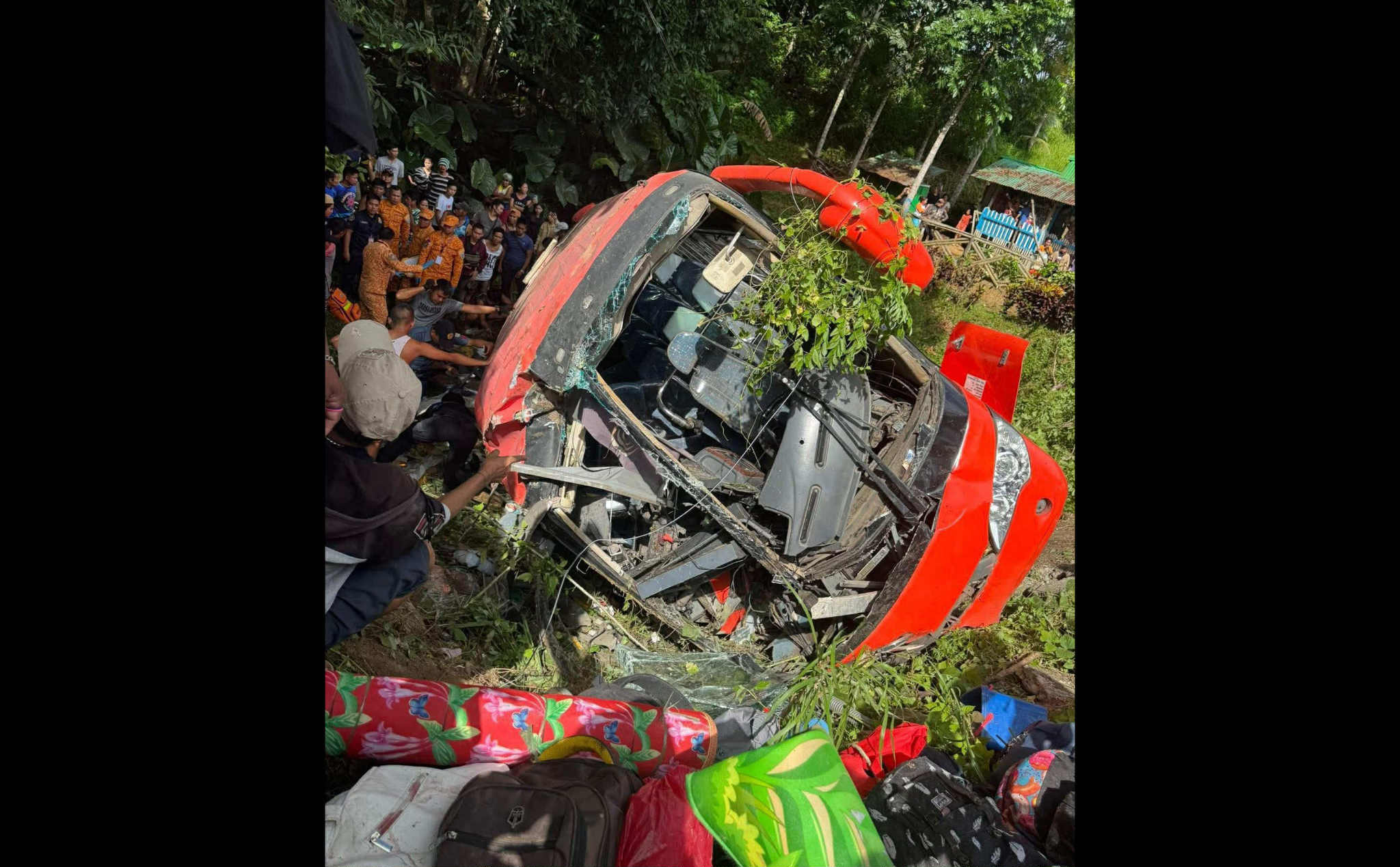 Photo courtesy: Jestoni Pasteros Latias