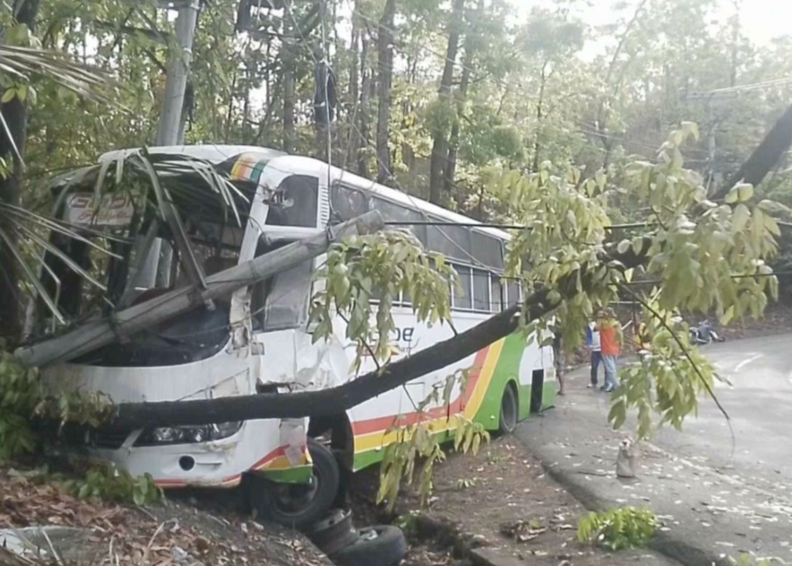 Image courtesy: Benjie Talisic