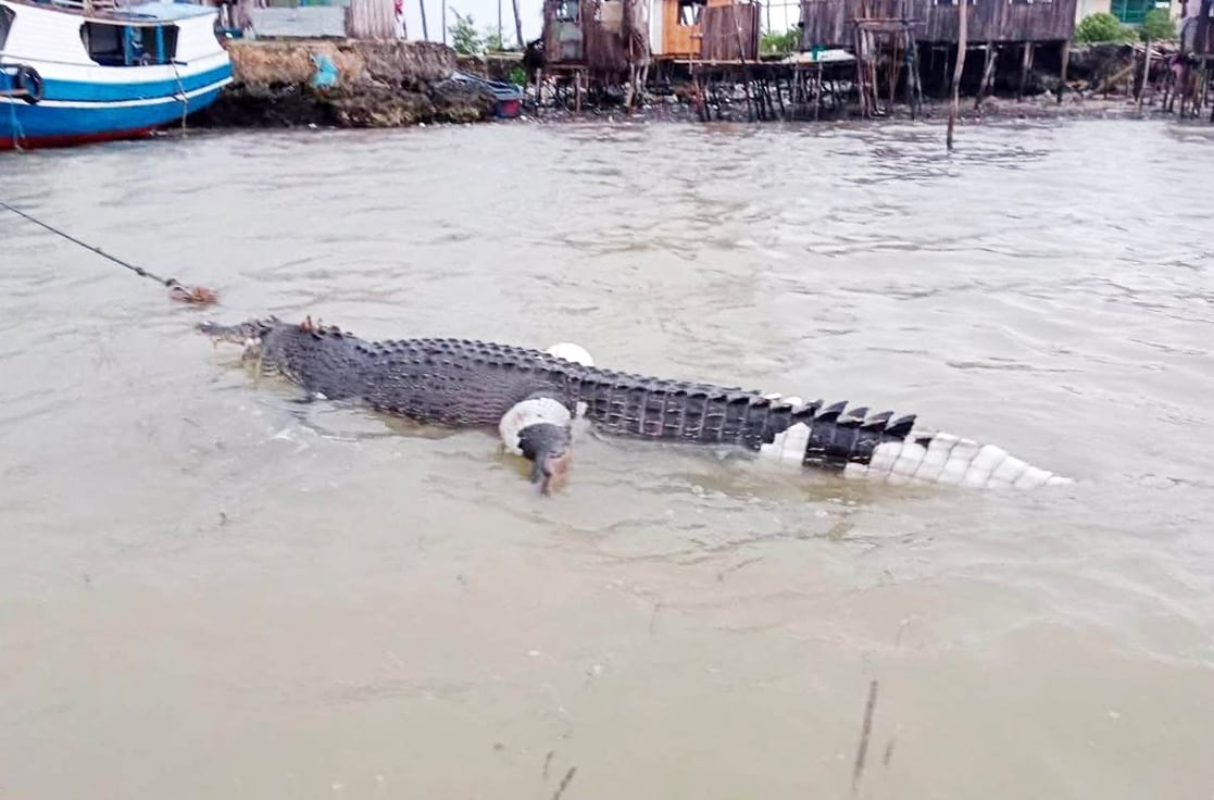 Photo courtesy: Kap Bing Jahama