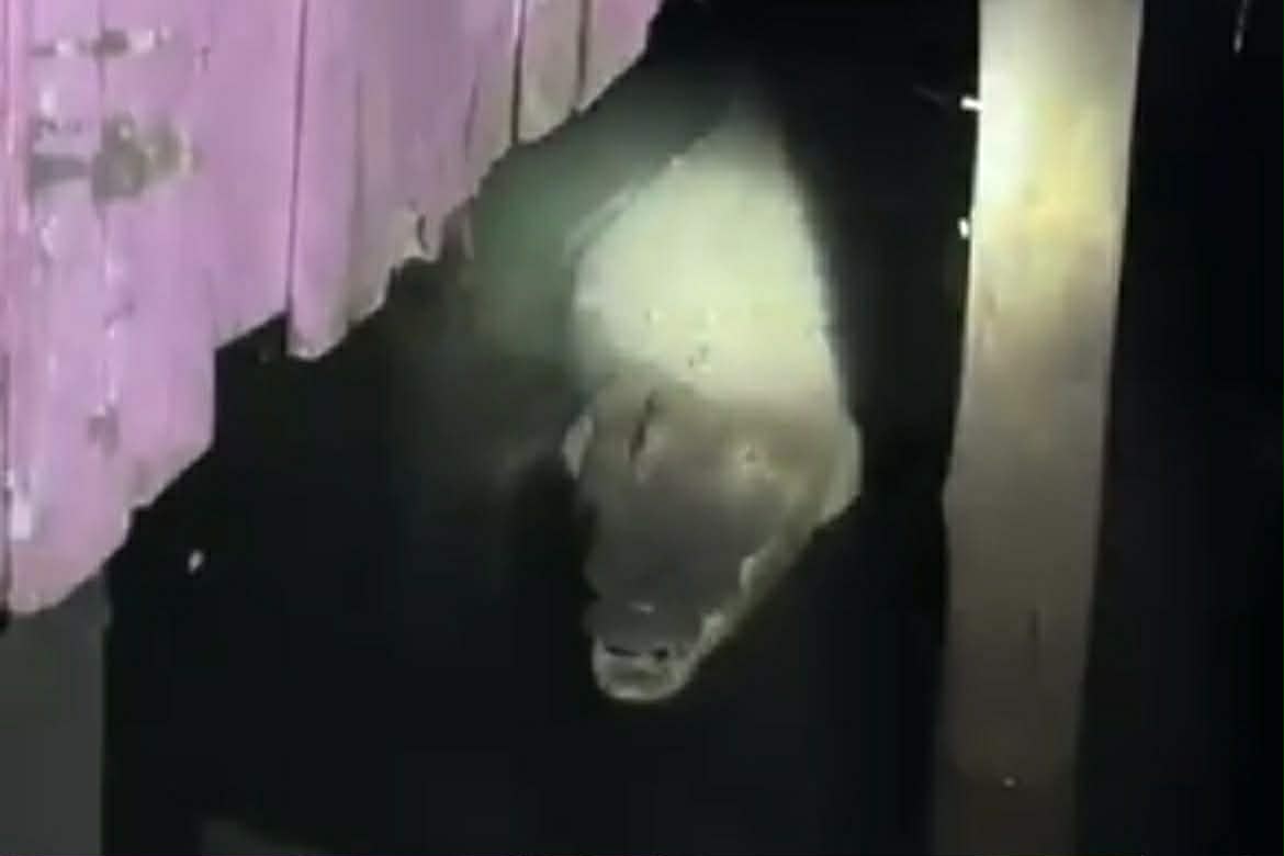 Image from video via Katrida Matolo