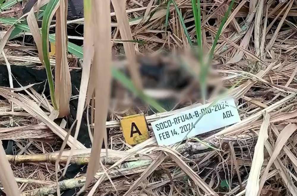 Photo Courtesy: Balayan Police