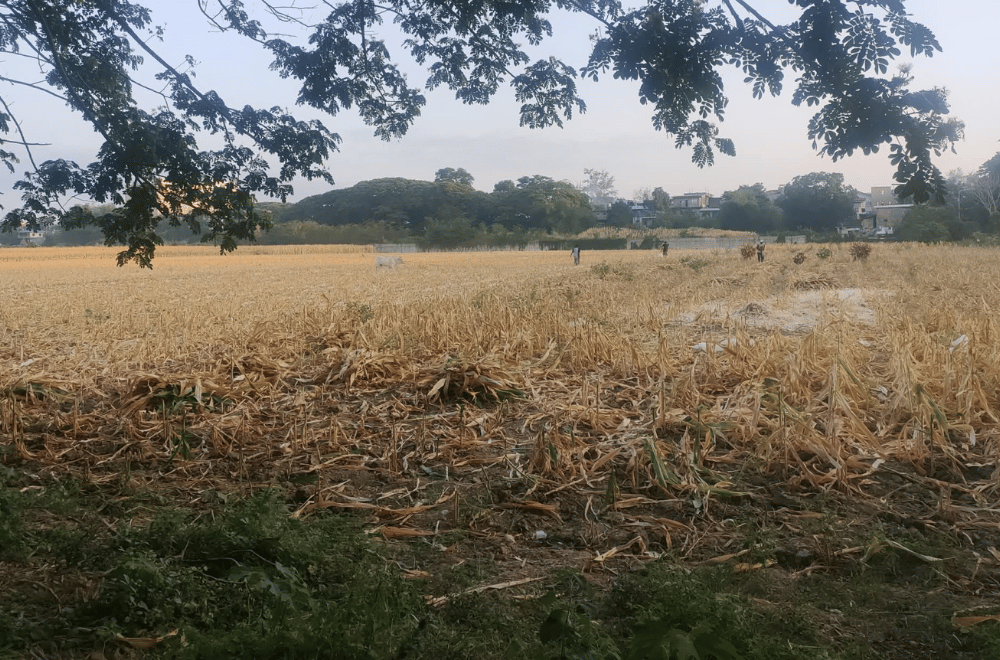 Photo courtesy: Marvin Cangcang via GMA News Online