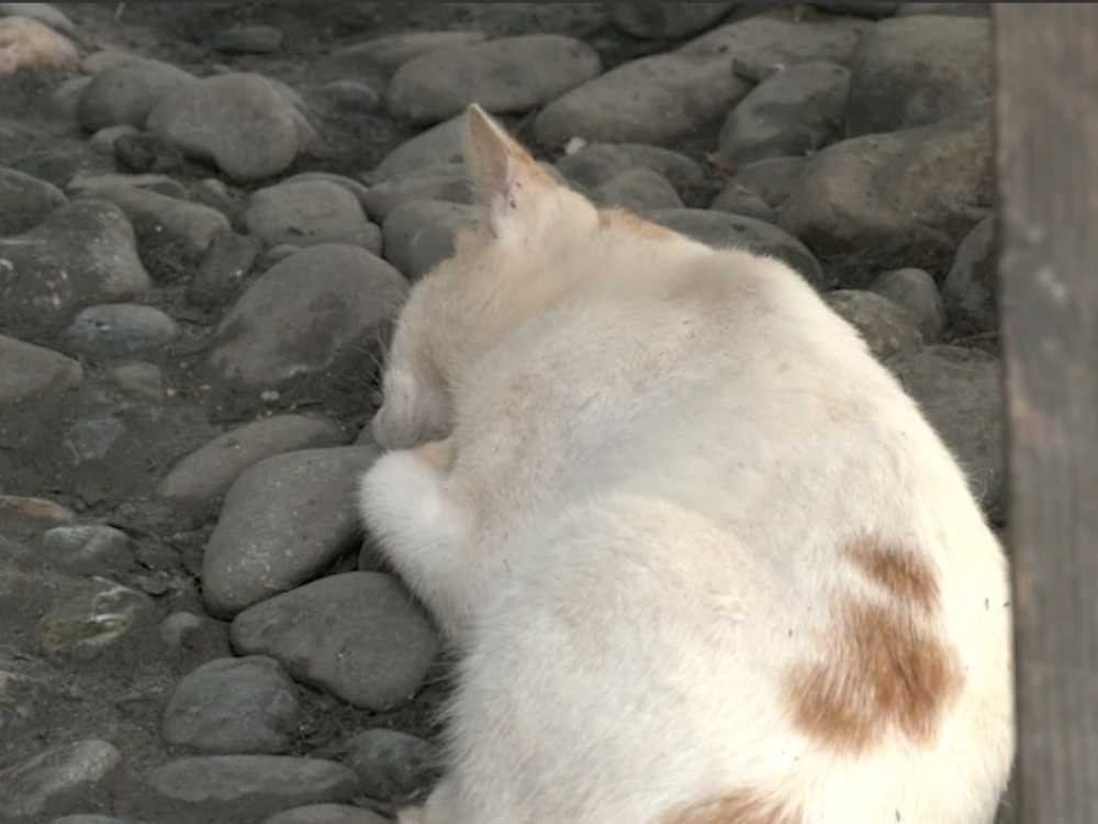 Photo via One North Central Luzon