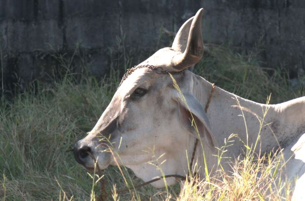 Photo via One North Central Luzon