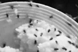 Image from file video via GMA Regional TV One Mindanao