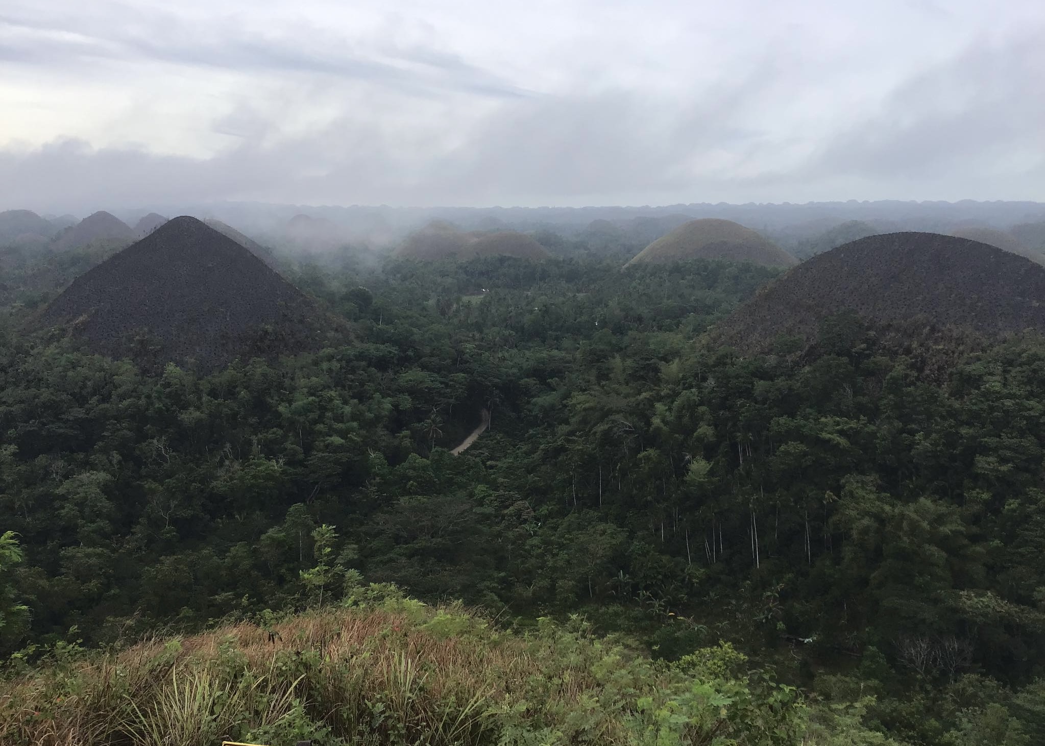 Grassfire hits Chocolate Hills in Bohol