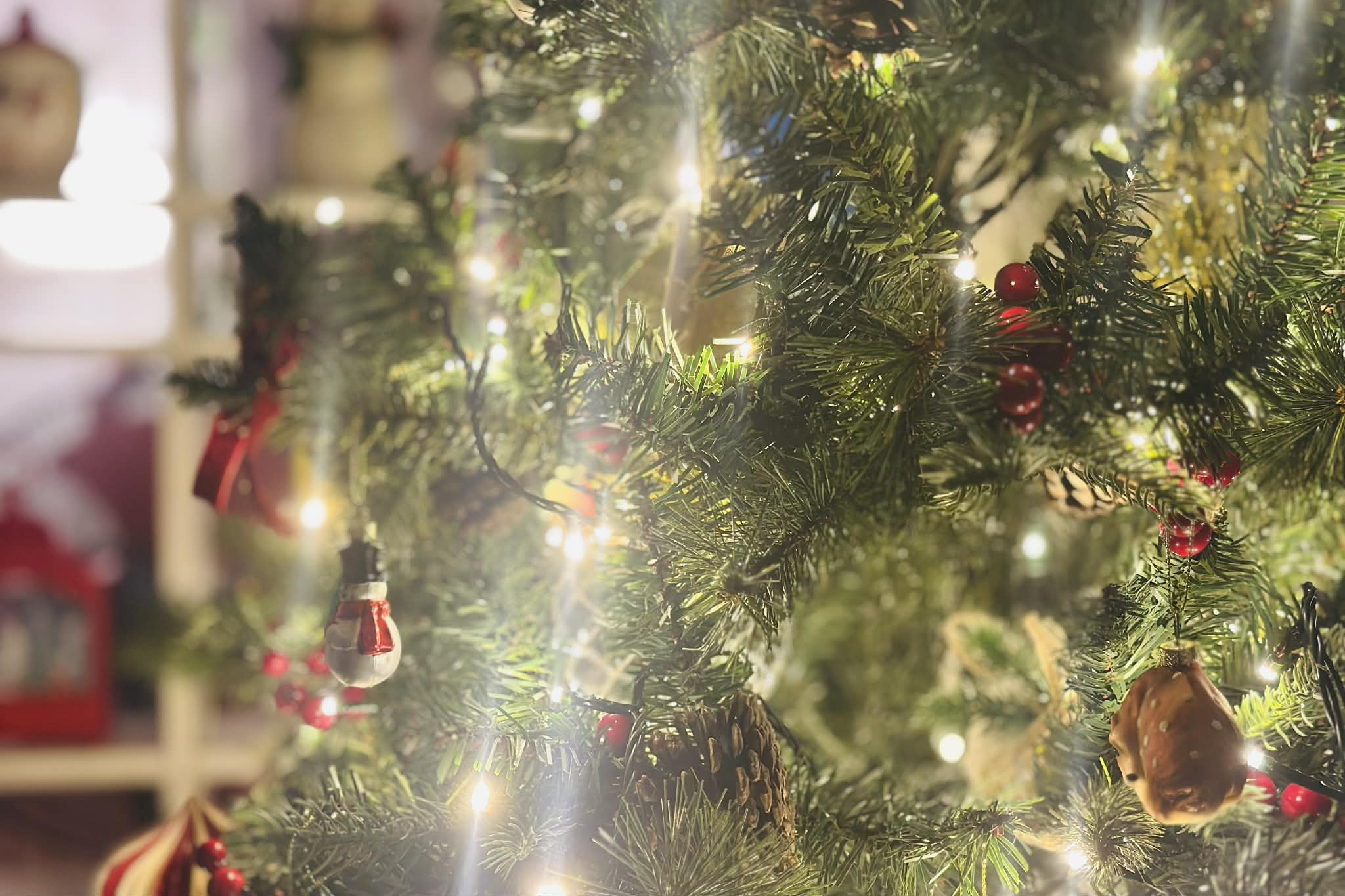 Photo via GMA Regional TV News