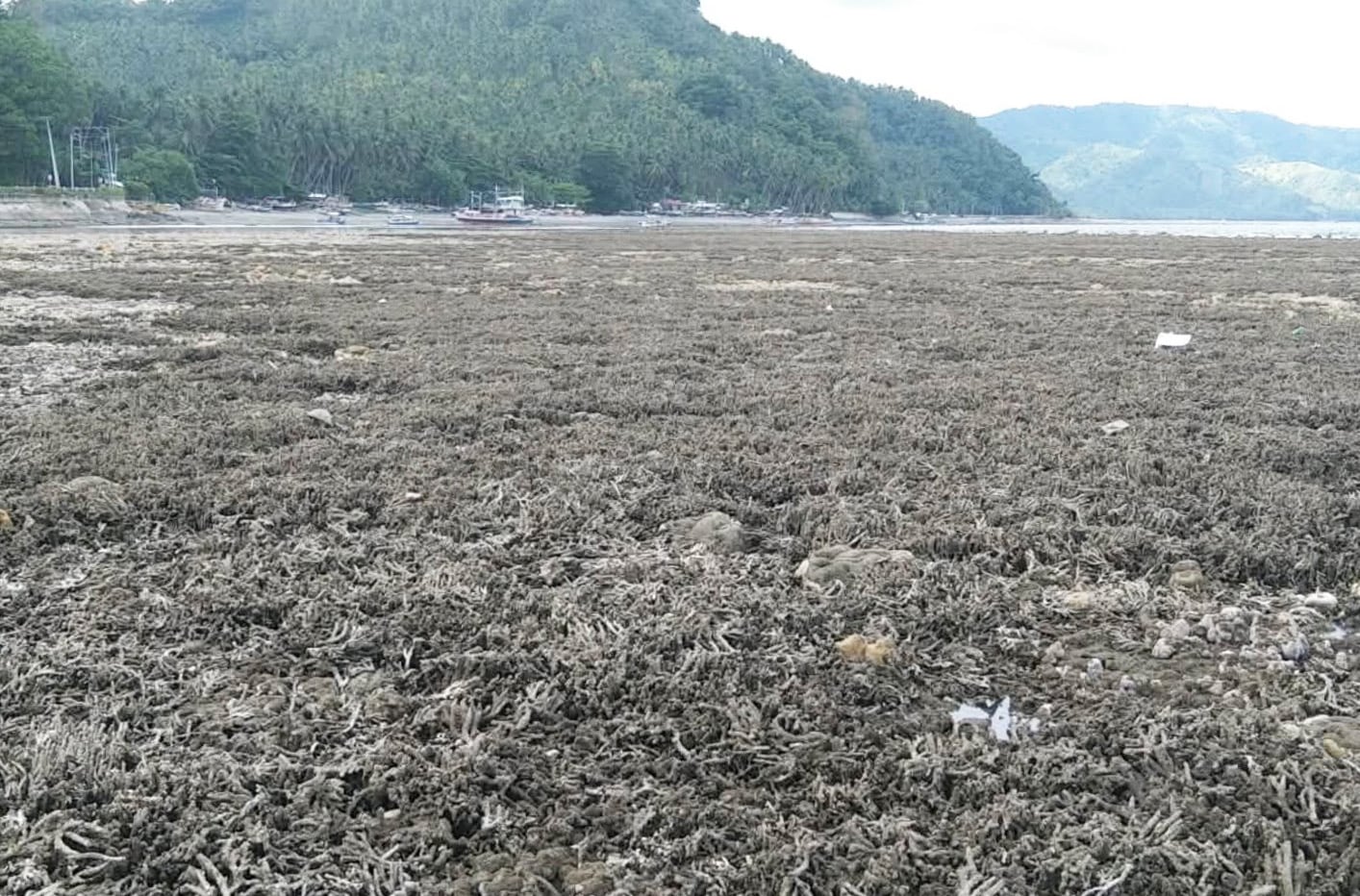 Photo courtesy: PENRO Sarangani/DENR-12