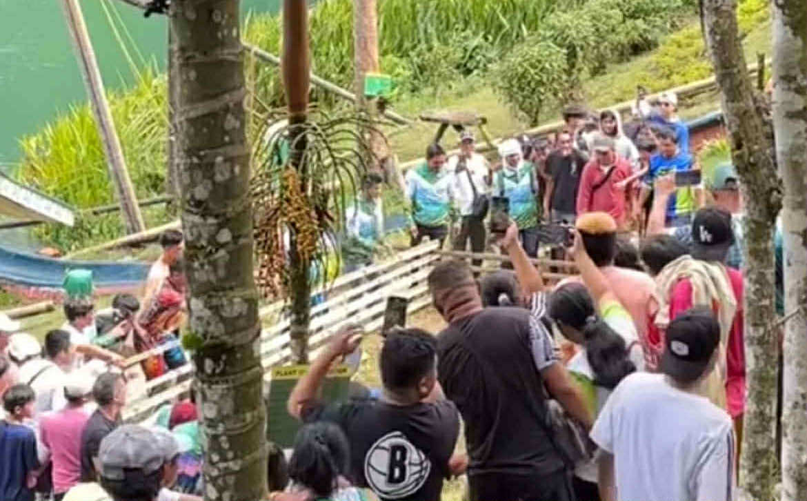 Image from video Ivy Trasporte