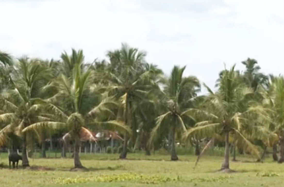 Image from video via GMA Regional TV One Mindanao