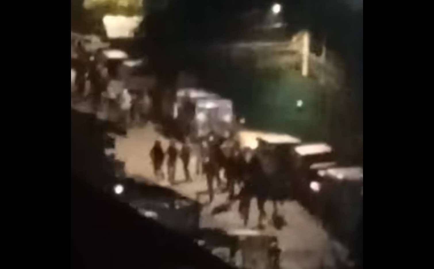 Image from video via Dham Vlog