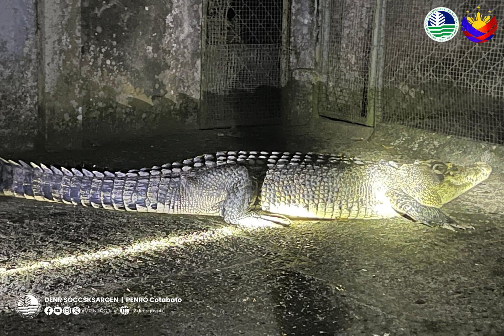 Image courtesy: DENR Soccsksargen