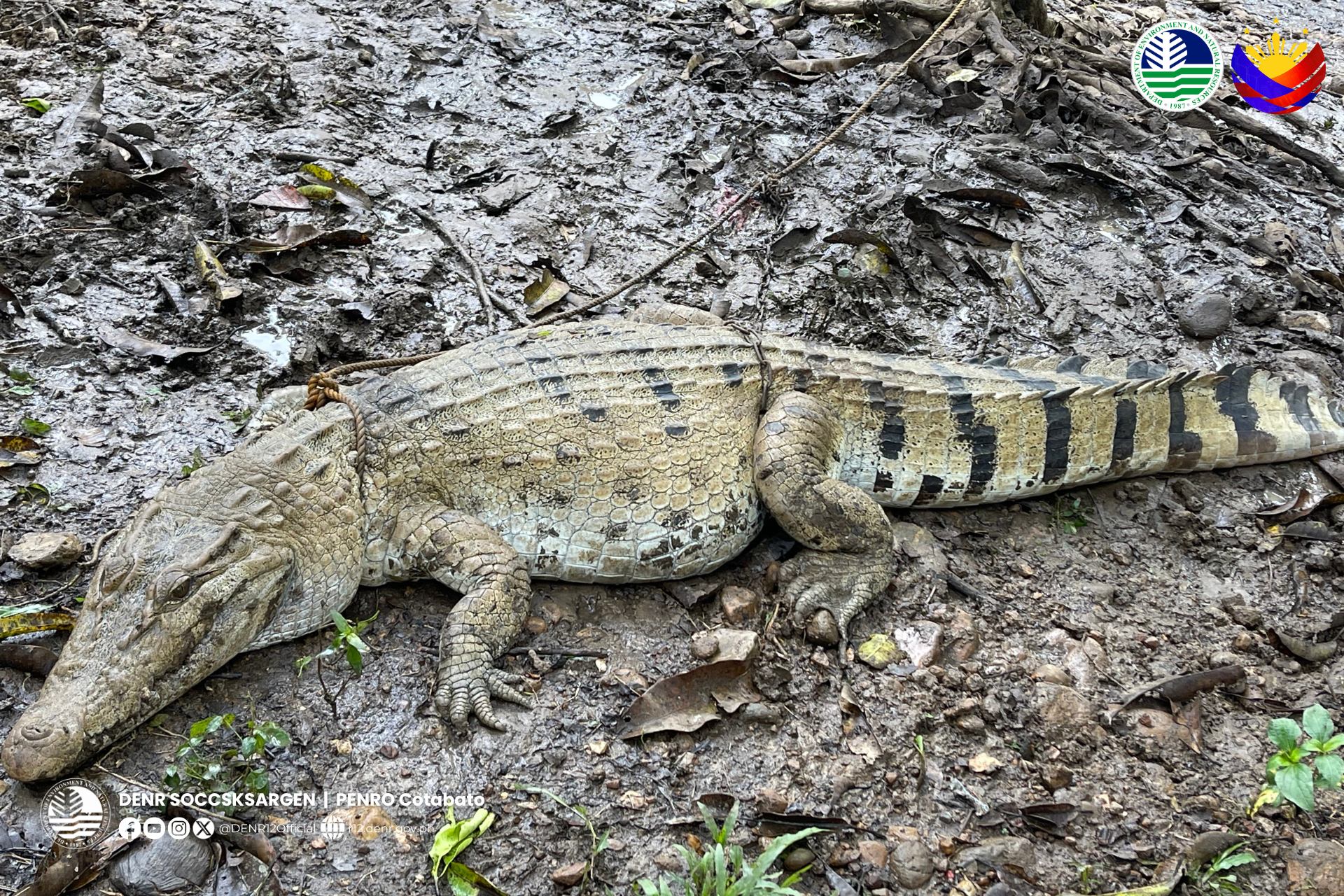 Photo courtesy: DENR-12