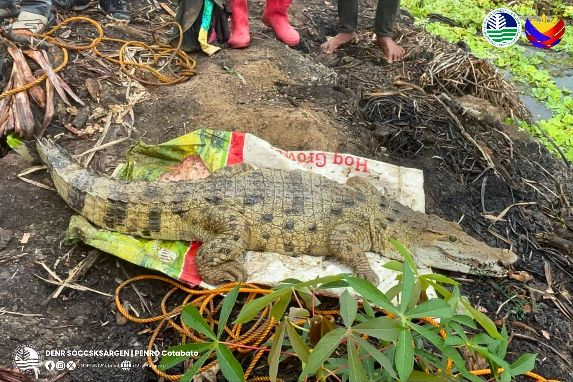 Photo courtesy: PENRO Cotabato/DENR-12