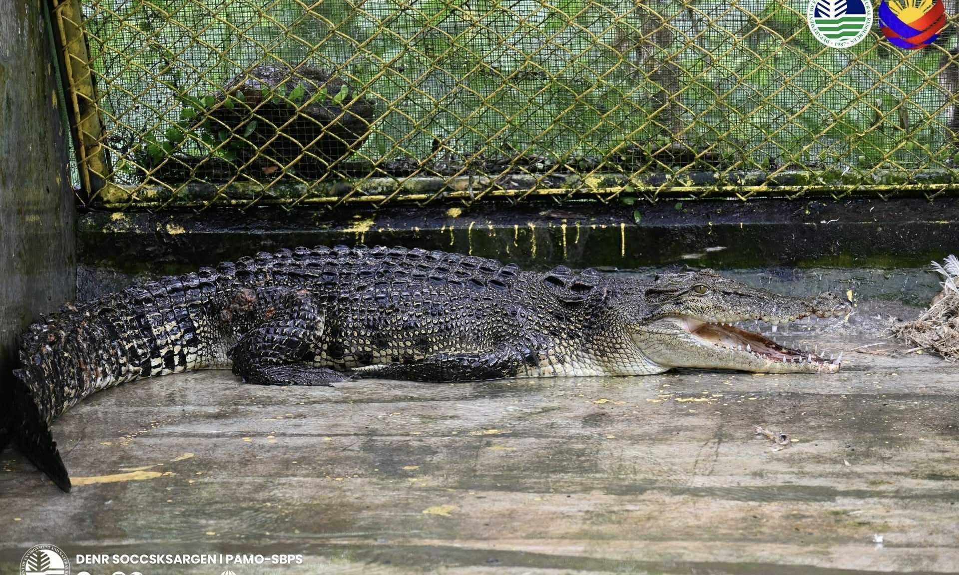 Photo courtesy: DENR-12