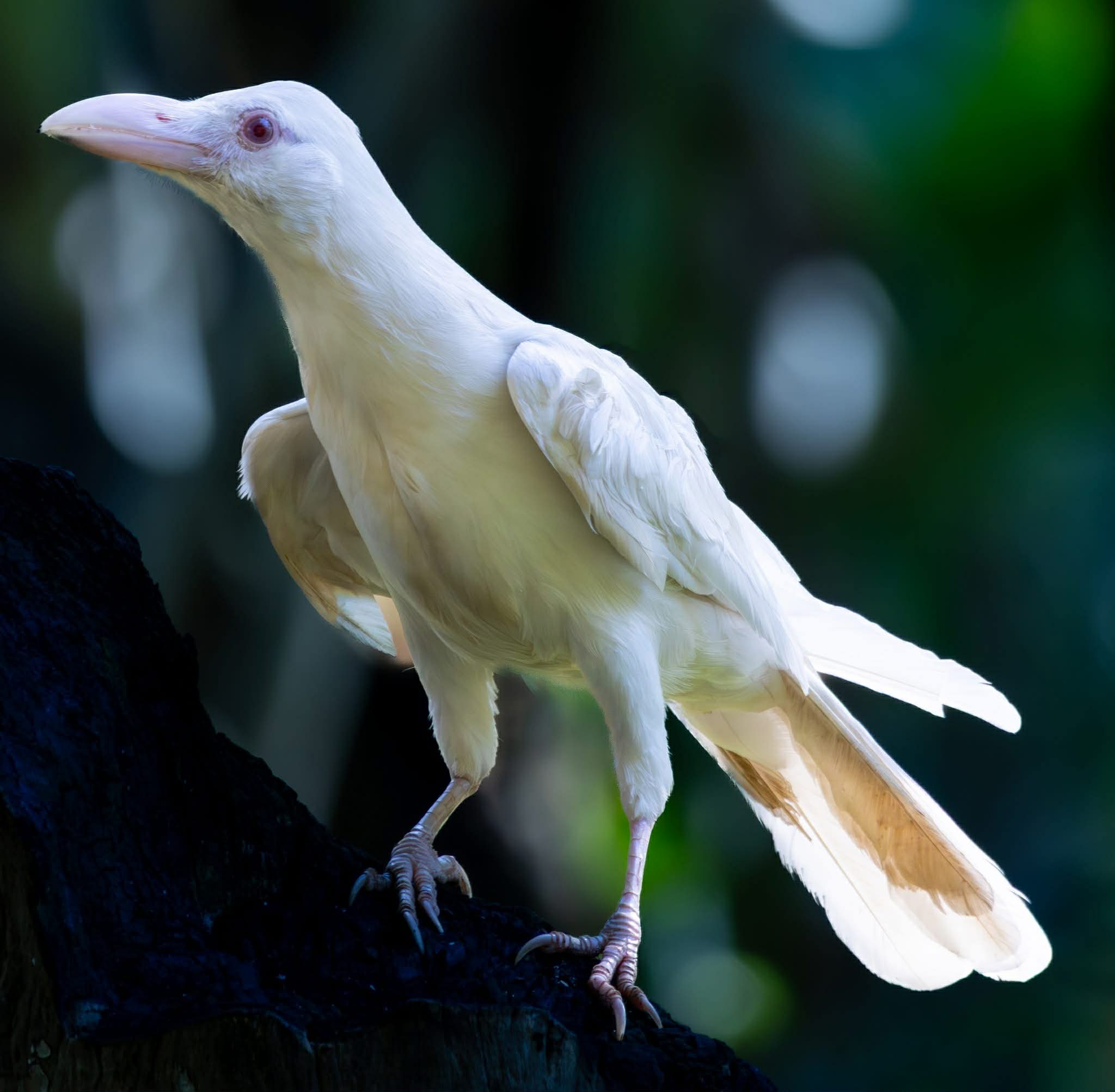 Photo courtesy: Jun Rey Yap