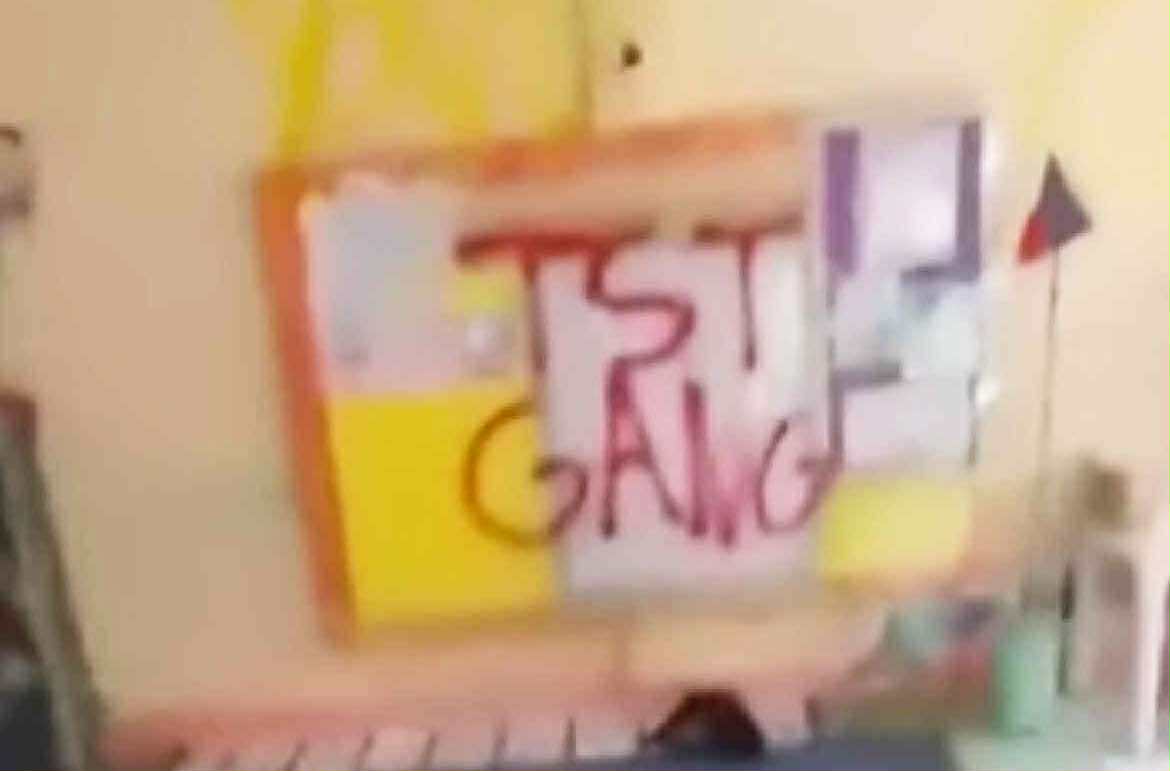 Image from contributed video