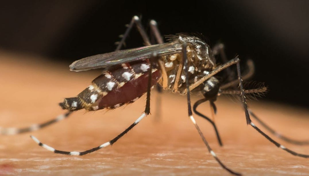 Image via GMA Super Radyo Iloilo