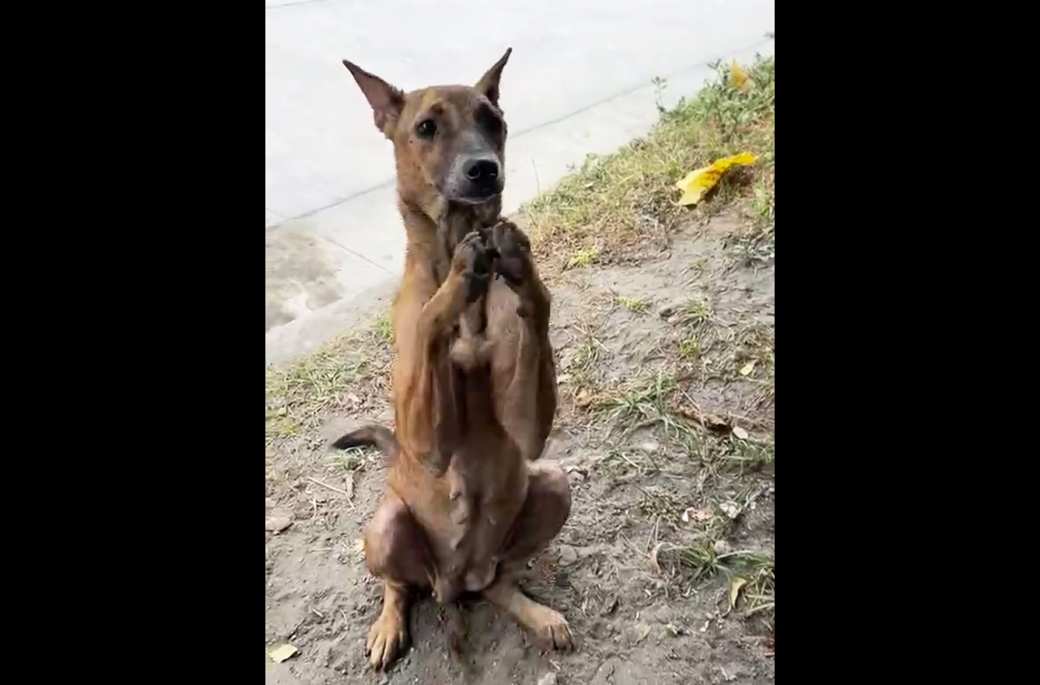 Image from video via Myoko Ocaña