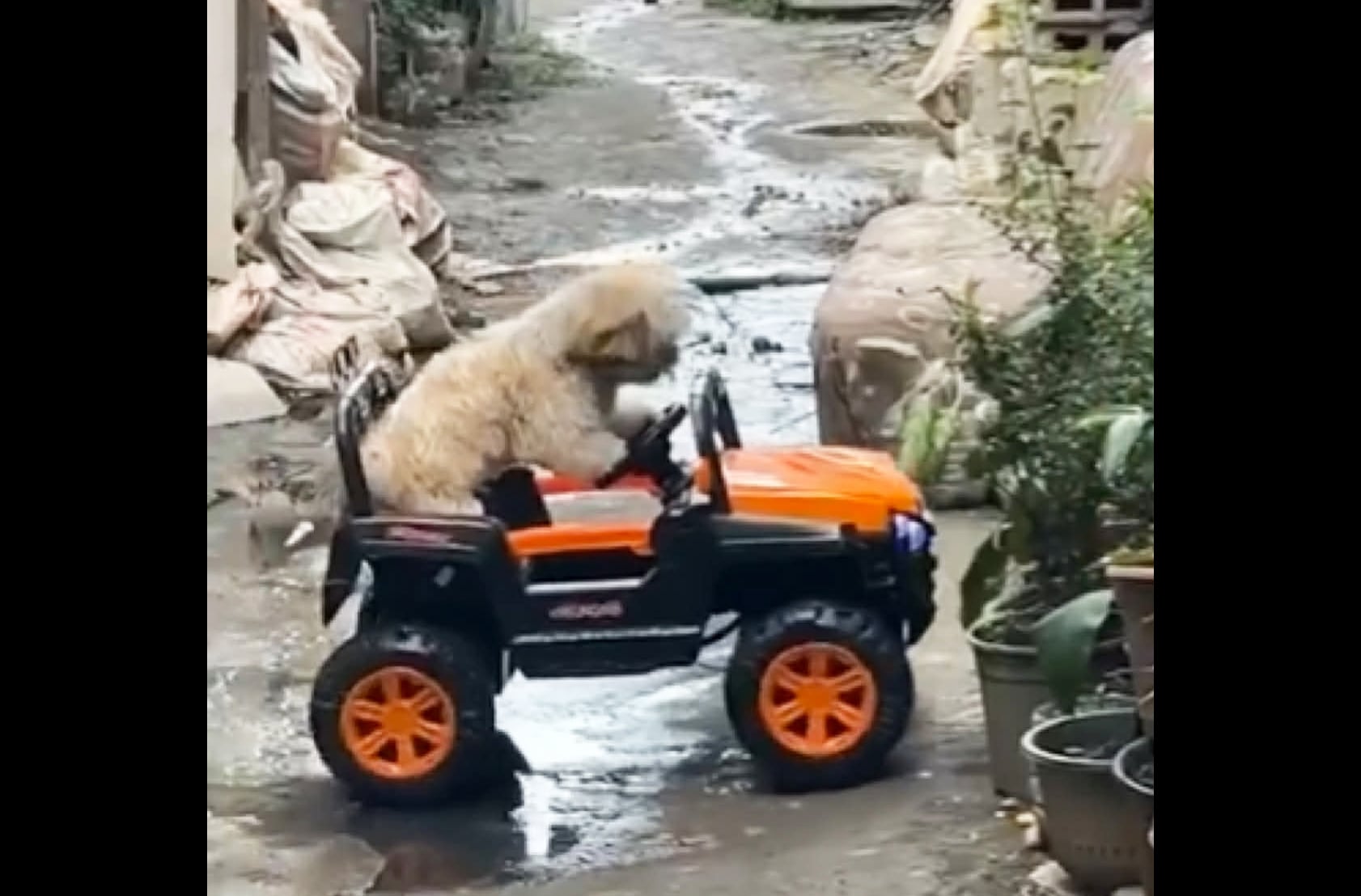 Image from video via Marie Rovie Lacay