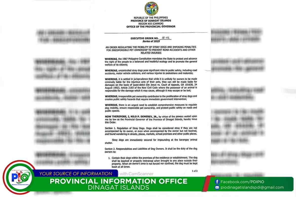 Photo courtesy: Dinagat Islands PIO Facebook