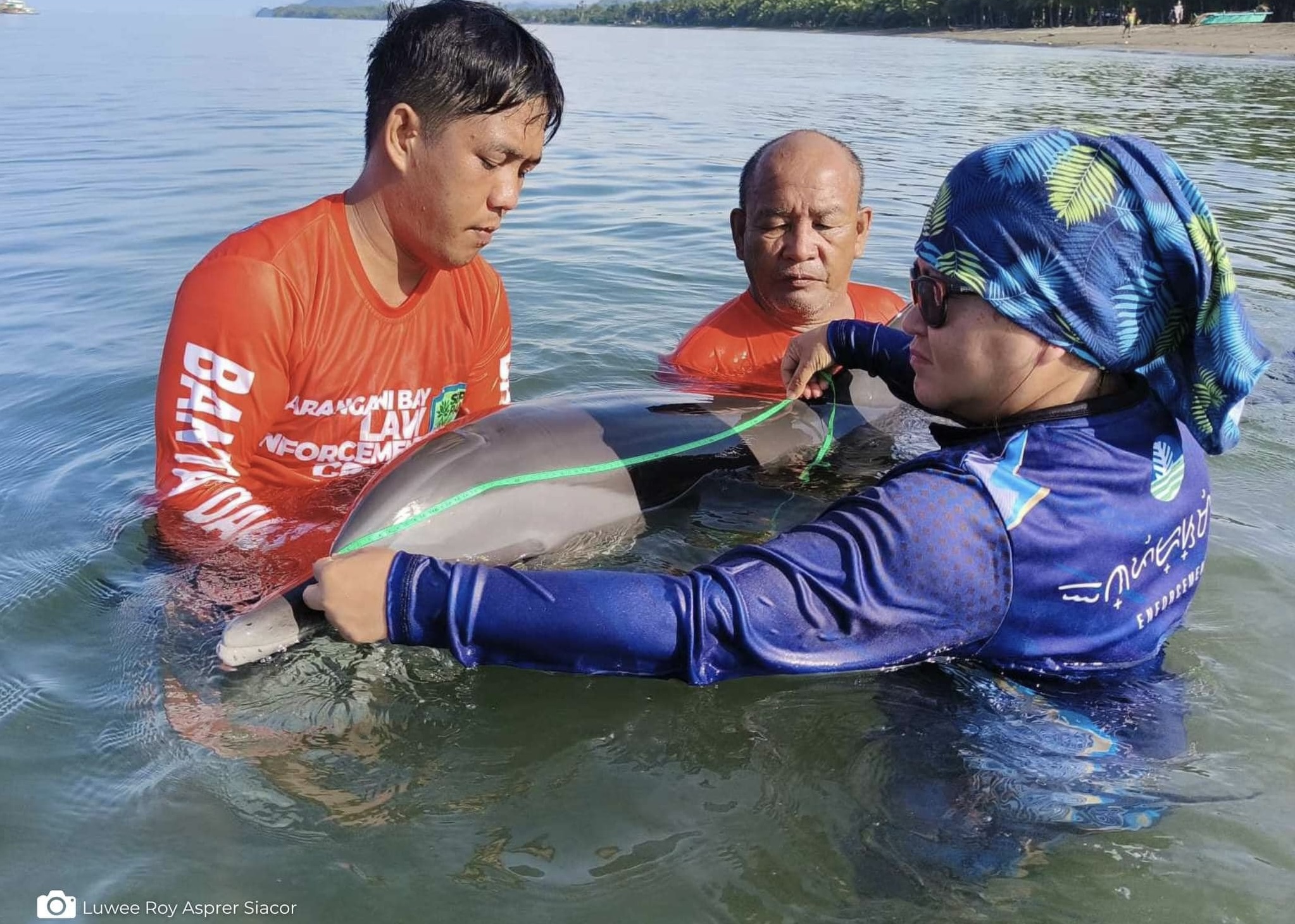 Image courtesy: DENR-12