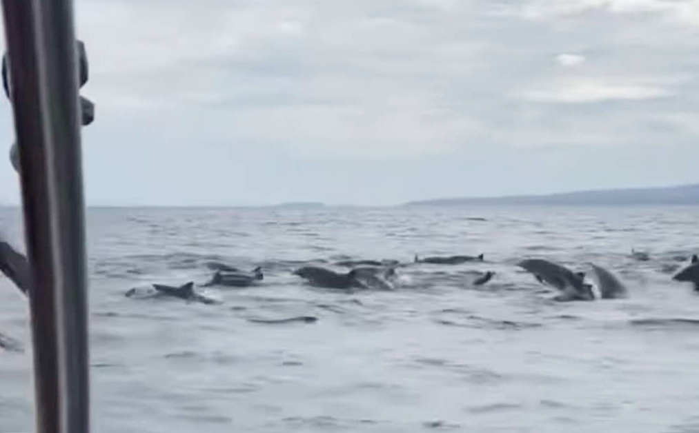 Image from video via Joemar Revelo