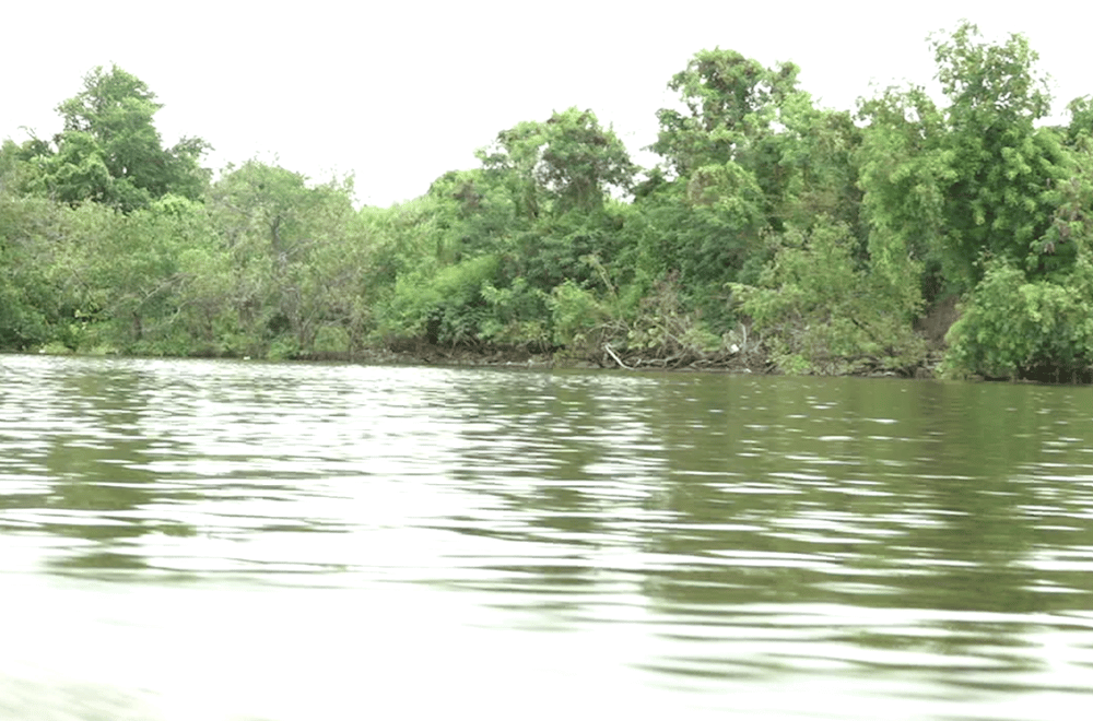 Image via GMA Regional TV One North Central Luzon