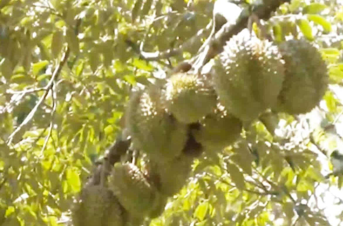 Image from video via GMA Regional TV One Mindanao
