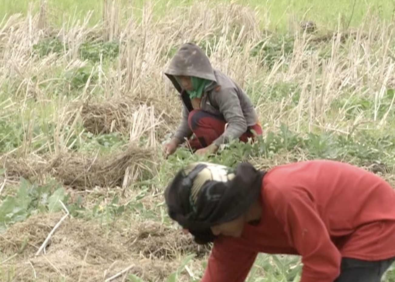 Image via GMA Regional TV One Western Visayas