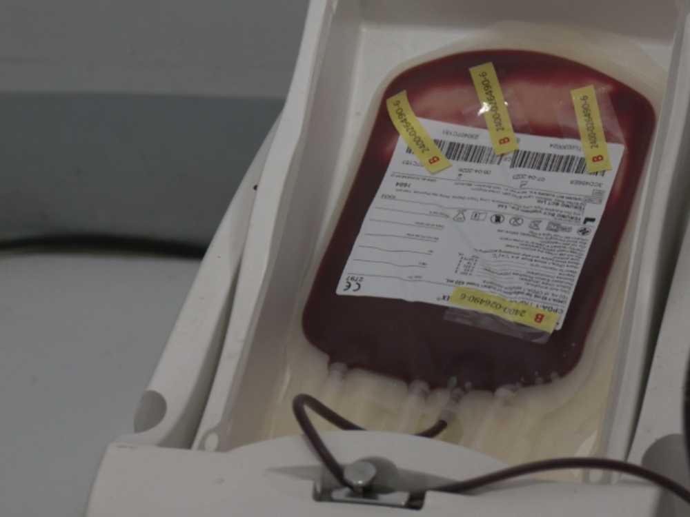 Photo via One North Central Luzon