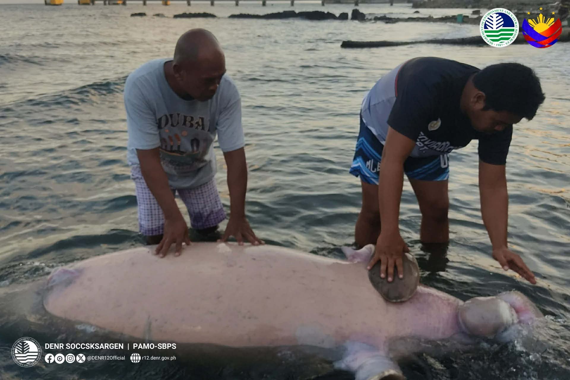 Photo courtesy: PMBO-SBPS via DENR-12