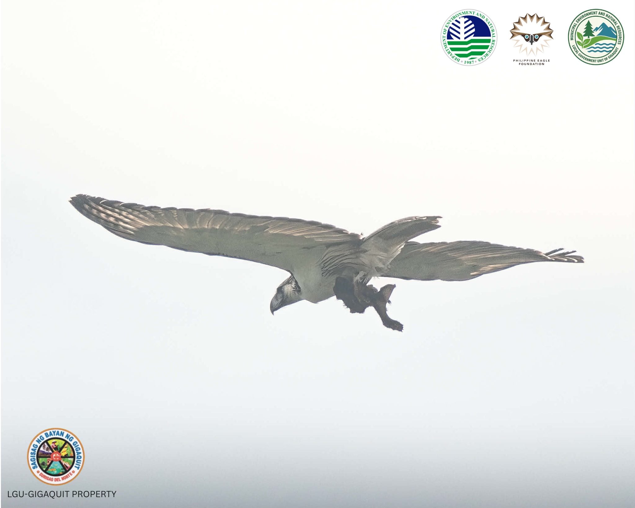 Photo courtesy: Municipality of Gigaquit-Malamboong Gigaquit/FB