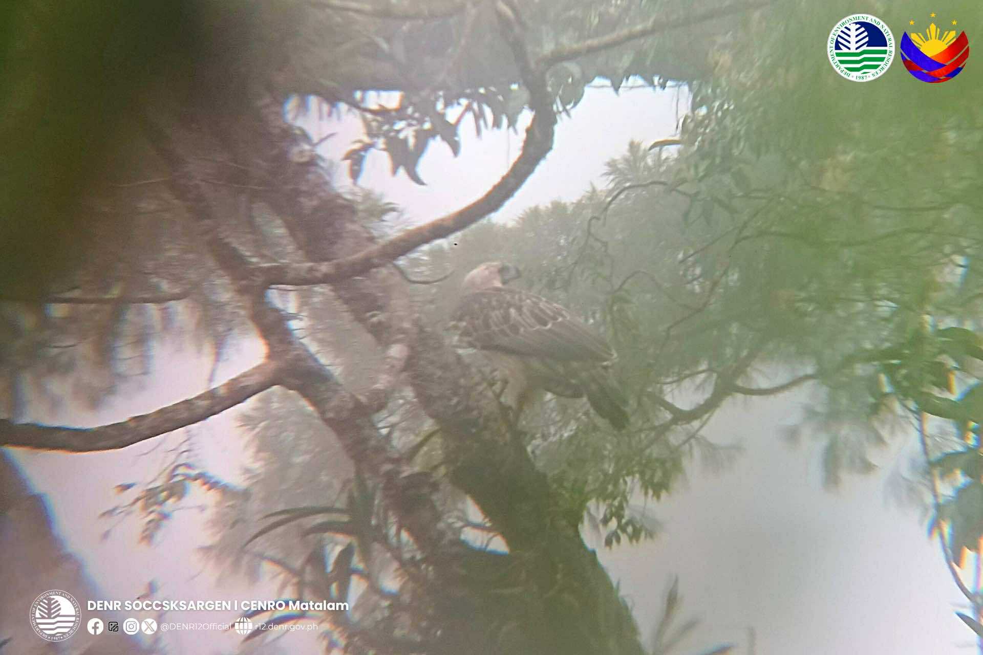 Photo courtesy: CENRO Matalam/DENR-12