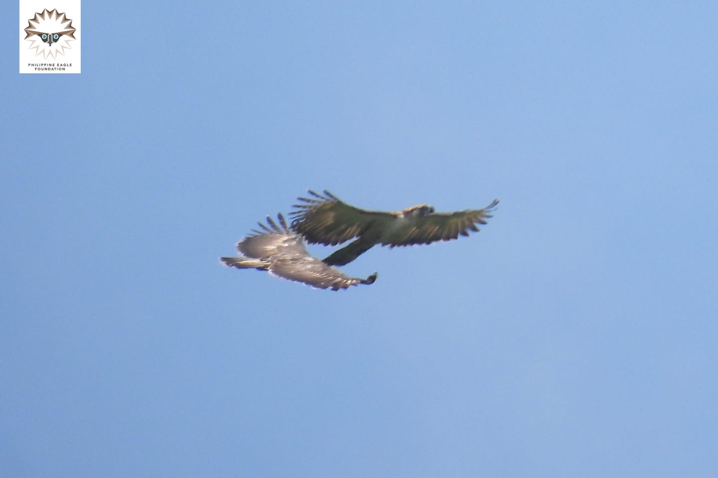 Photo courtesy: Japheth Richa/PEF