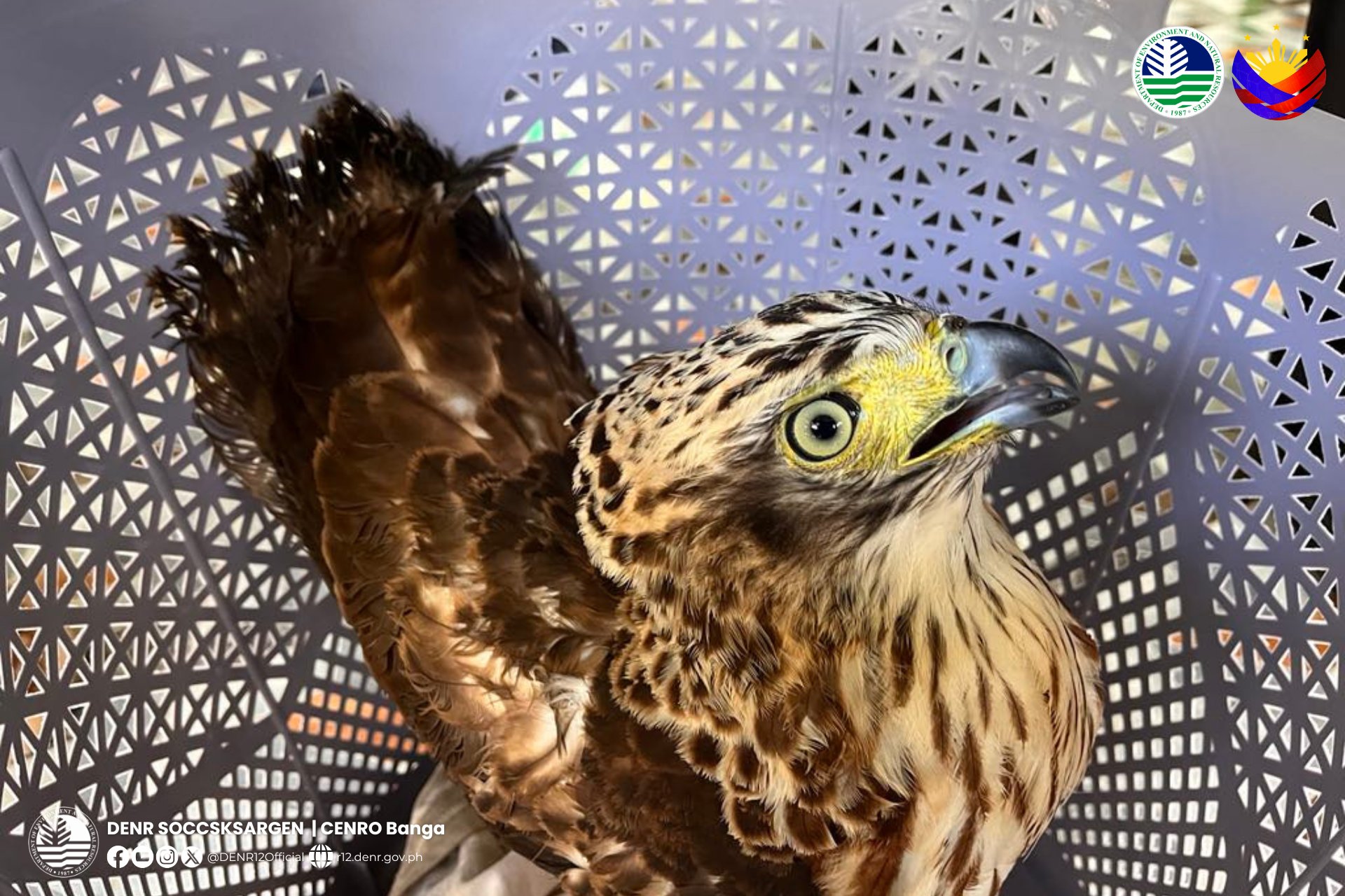 Photo courtesy: CENRO-Banga/DENR-12