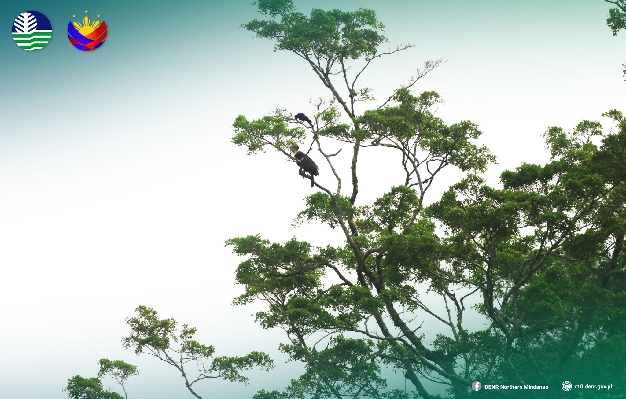 Photo courtesy: DENR-10