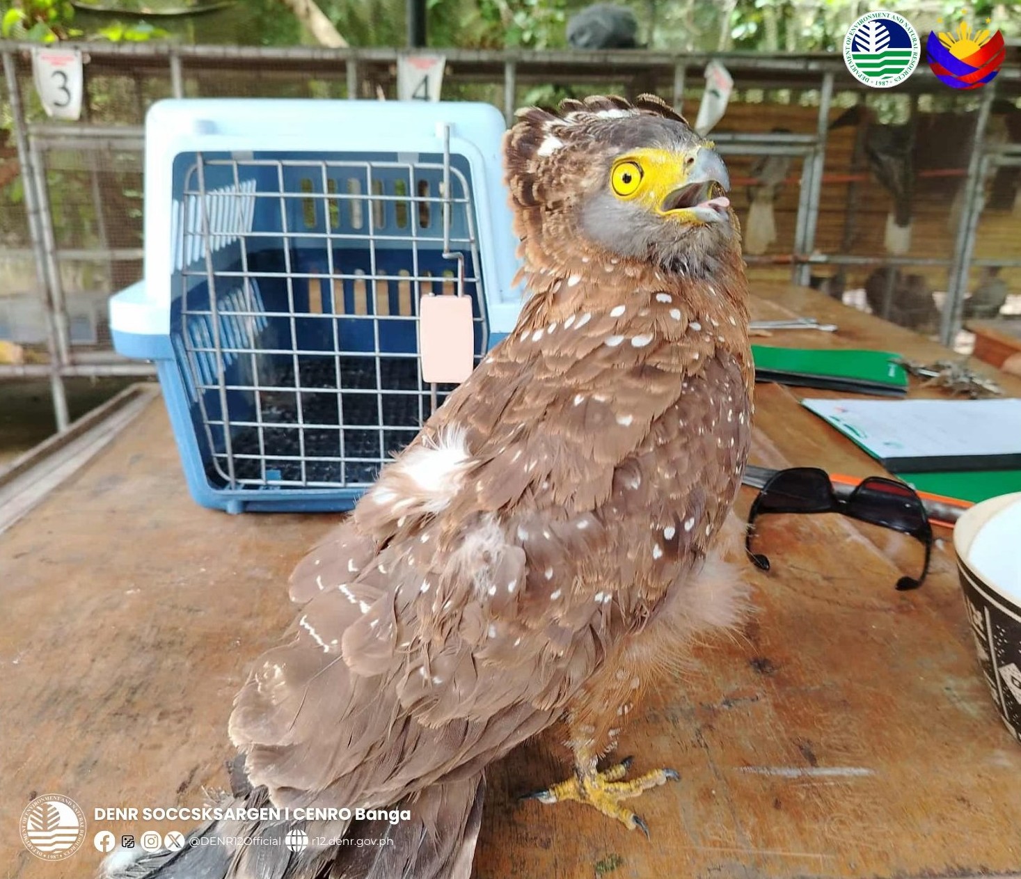 Photo courtesy: CENRO-Banga/DENR-12